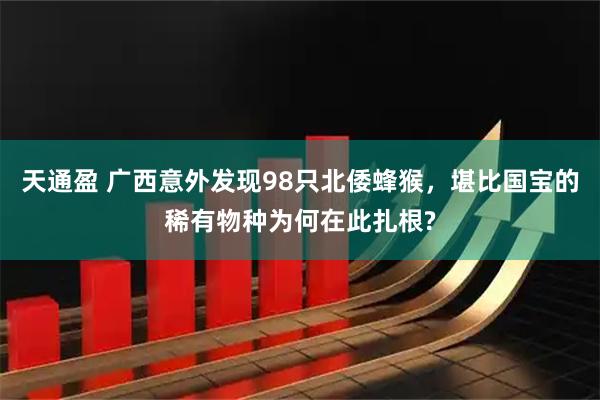 天通盈 广西意外发现98只北倭蜂猴，堪比国宝的稀有物种为何在此扎根?