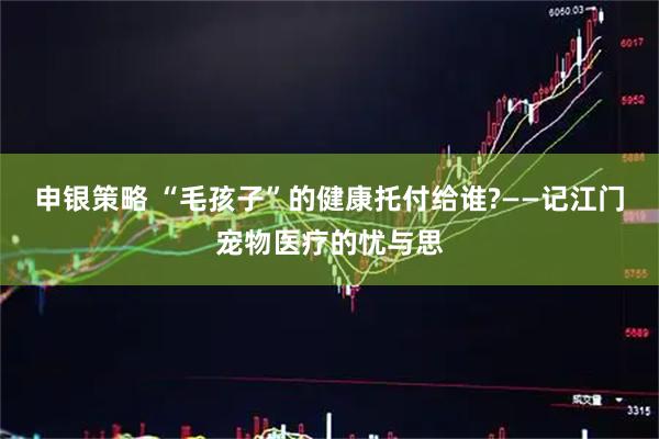 申银策略 “毛孩子”的健康托付给谁?——记江门宠物医疗的忧与思