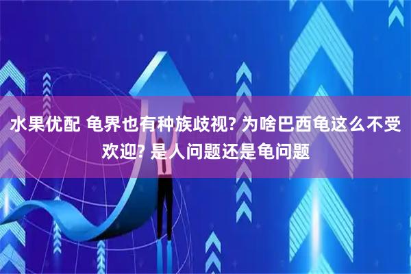 水果优配 龟界也有种族歧视? 为啥巴西龟这么不受欢迎? 是人问题还是龟问题