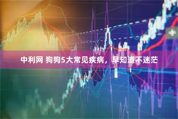 中利网 狗狗5大常见疾病，早知道不迷茫